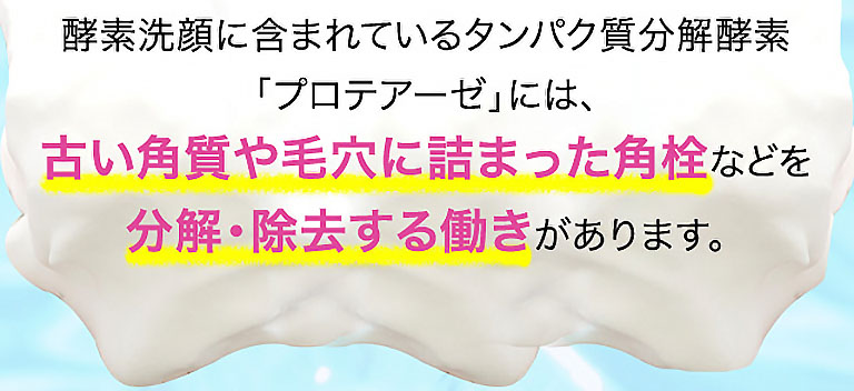 酵素洗顔に含まれているタンパク質分解酵素「プロアテーゼ」には、古い角質や毛穴に詰まった角栓などを分解・除去する働きがあります。